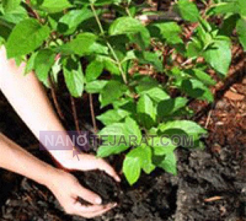 Organic fertilizer